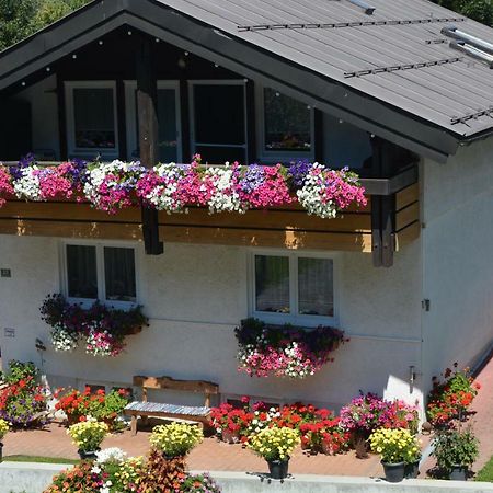 Ferienwohnung Schanzenblick オーベルストドルフ エクステリア 写真